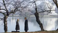 Задник до фильму"Версія" #728696