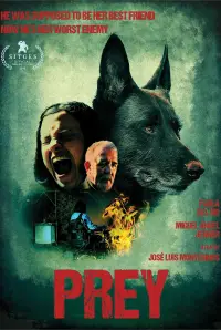 Постер до фильму"" #1092700