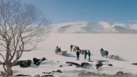 Задник до фильму"" #841636