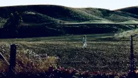 Задник до фильму"Безпека" #541757