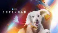 Задник до фильму"Супермен: Спадок" #897826