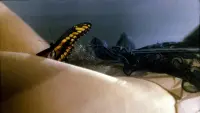 Задник до фильму"" #718051