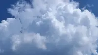 Задник до фильму"" #780441