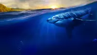 Задник до фильму"" #849990