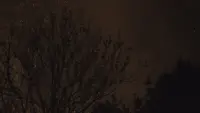 Задник до фильму"" #718256