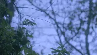 Задник до фильму"" #453940