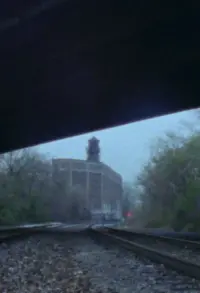 TIGERS CAN BE SEEN IN THE RAIN