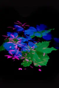 Постер до фильму"" #886702