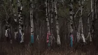 Задник до фильму"" #817174