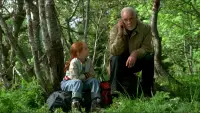 Задник до фильму"Метелик" #888211
