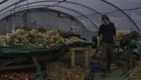 Задник до фильму"Нічні рухи" #461578