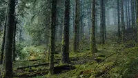 Задник до фильму"" #716820