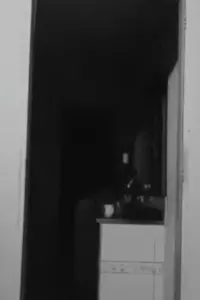 O curta mais assustador que você verá hoje!