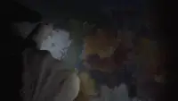 Задник до фильму"" #874705