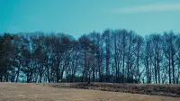 Задник до фильму"Зла не існує" #504024