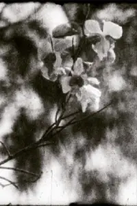 Постер до фильму"" #1060421