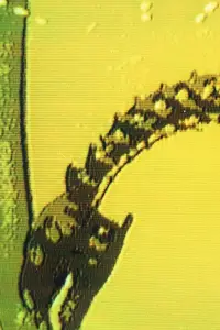 Постер до фильму"" #1038446