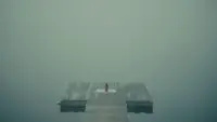 Задник до фильму"Чорний ведмідь" #811166