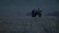 Задник до фильму"" #785732