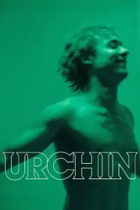 Urchin