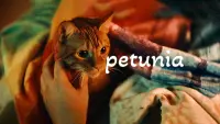 Задник до фильму"" #631691