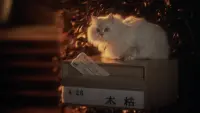 Задник до фильму"" #706326