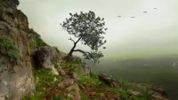 Задник до фильму"" #721990
