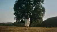 Задник до фильму"" #854708