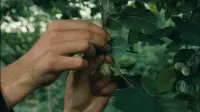 Задник до фильму"" #814222