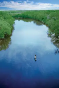 Постер до фильму"" #729794