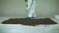 Задник до фильму"" #829437