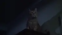 Задник до фильму"Кошмари" #760272