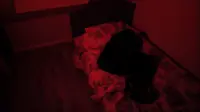 Задник до фильму"" #777592
