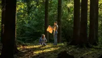 Задник до фильму"Королева сердець" #380940