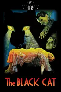 Постер до фильму"Чорний кіт" #979714