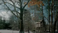 Задник до фильму"" #767206