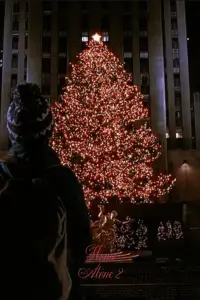 Постер до фильму"Сам удома 2: Загублений у Нью-Йорку" #1119935