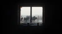 Задник до фильму"" #818948