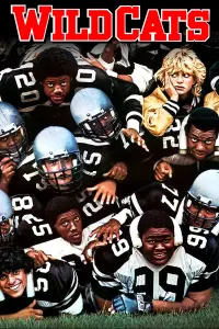 Постер до фильму"Дикі кішки" #1035469