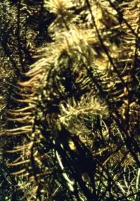 Постер до фильму"" #1097115