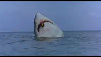 Задник до фильму"" #746026