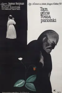 Постер до фильму"Сунична галявина" #1030714