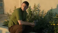 Задник до фильму"Забери мене на місяць" #701282