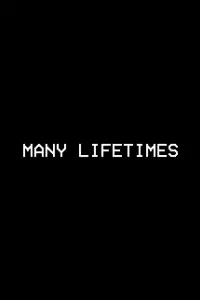 Many Lifetimes