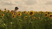 Задник до фильму"" #538867