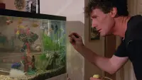 Задник до фильму"Рибка на ім