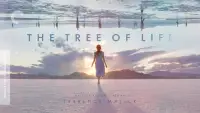 Задник до фильму"Древо життя" #997509