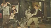Задник до фильму"" #896959