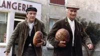 Задник до фильму"Суп з капусти" #288955