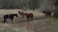 Задник до фильму"" #829823
